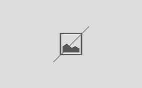 بازاریان؛ کارآفرینان بیمنت بازاریان؛ کارآفرینان بیمنت