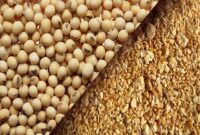 تخلیه کشتی حامل کنجاله سویا در بندرشهیدرجایی