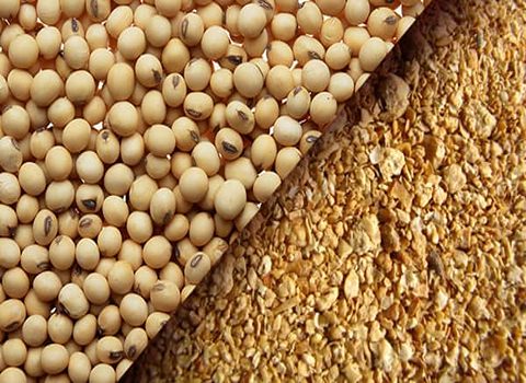 تخلیه کشتی حامل کنجاله سویا در بندرشهیدرجایی