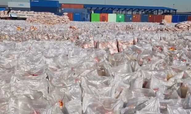 ترخیص دومین محموله برنج وارداتی توقیف شده در بندرعباس ترخیص دومین محموله برنج وارداتی توقیف شده در بندرعباس