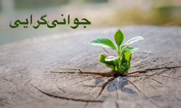 همدلی نسلها، رونق و پیشرفت چهارمحال و بختیاری/ استان ما نیاز به تغییر دارد همدلی نسلها، رونق و پیشرفت چهارمحال و بختیاری/ استان ما نیاز به تغییر دارد