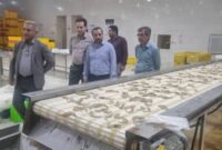 بازدید معاون توسعه و مدیریت منابع سازمان صنایع کوچک و شهرک‌های صنعتی ایران از زنجیره ارزش میگو