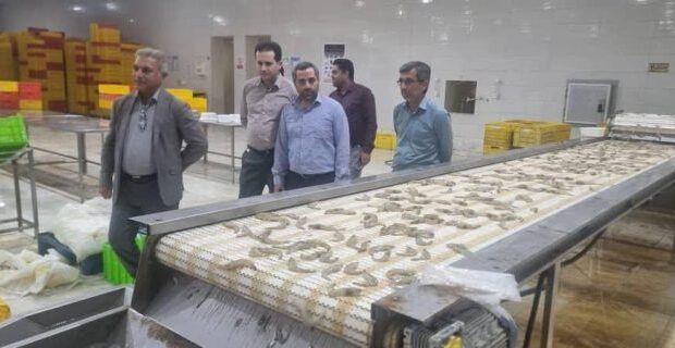 بازدید معاون توسعه و مدیریت منابع سازمان صنایع کوچک و شهرکهای صنعتی ایران از زنجیره ارزش میگو بازدید معاون توسعه و مدیریت منابع سازمان صنایع کوچک و شهرکهای صنعتی ایران از زنجیره ارزش میگو