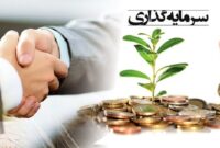 هرمزگان رتبه دوم جذب سرمایه گذار در کشور