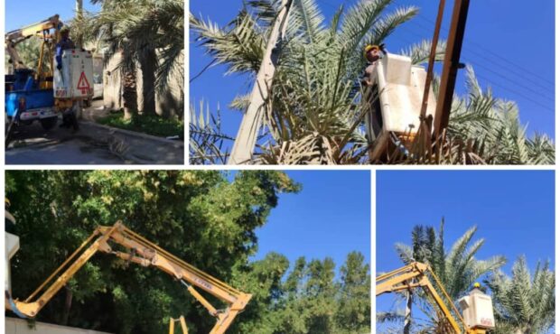 هرس ۱۵ اصله درخت درگیر با شبکههای برق شهرستان حاجی آباد هرمزگان هرس ۱۵ اصله درخت درگیر با شبکههای برق شهرستان حاجی آباد هرمزگان