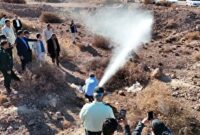 دستگیری شش تن از سرشبکههای سرقت فرآوردههای نفتی در هرمزگان دستگیری شش تن از سرشبکههای سرقت فرآوردههای نفتی در هرمزگان