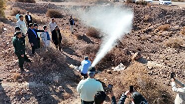 دستگیری شش تن از سرشبکههای سرقت فرآوردههای نفتی در هرمزگان دستگیری شش تن از سرشبکههای سرقت فرآوردههای نفتی در هرمزگان