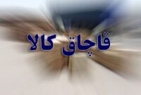 لزوم هم‌افزایی دستگاه‌ها برای بستن دروازه‌های قاچاق در چهارمحال و بختیاری