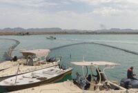 کشف اسناد بیش از ۱۵۰ میلیون لیتر سوخت قاچاق در سنوات گذشته در استان هرمزگان کشف اسناد بیش از ۱۵۰ میلیون لیتر سوخت قاچاق در سنوات گذشته در استان هرمزگان