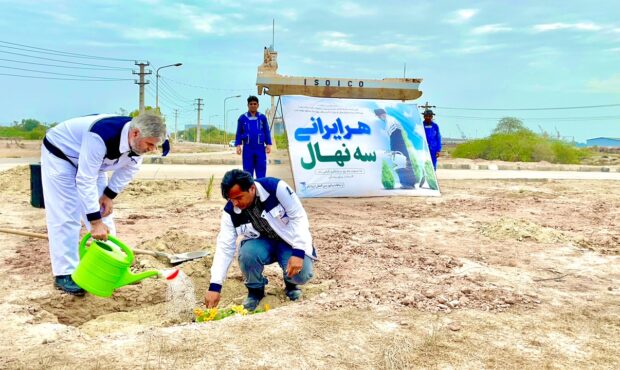 کاشت گسترده نهال در ایزوایکو به مناسبت روز درختکاری کاشت گسترده نهال در ایزوایکو به مناسبت روز درختکاری