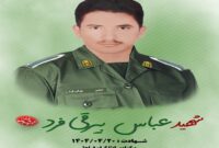 شهادت سرباز هرمزگانی در جاده ساحلی چابهار