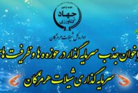 فراخوان جذب سرمایهگذار در حوزه شیلات استان هرمزگان فراخوان جذب سرمایهگذار در حوزه شیلات استان هرمزگان