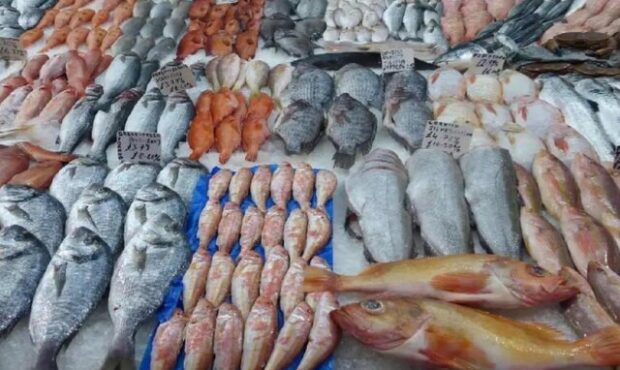 بازار ماهی گورزانگ یکی از مراکز مهم عرضه ماهی در کشور