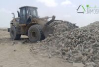 نخستین گام اجرایی بازیافت شیشه در هرمزگان توسط استارتاپ جامُش