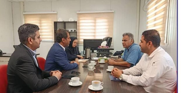 پتروپالایشگاه نگین لاوان وارد فاز عملیاتی شد