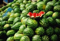 هندوانه میناب آماده شب یلدا