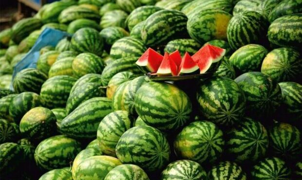 هندوانه میناب آماده شب یلدا